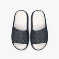 CARRY THE STANDARD slide in the royal navy monogram — SANCTUS NOVA, marked JOSHUA 1:9